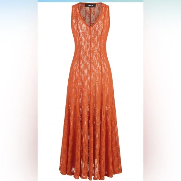 🧡Brand New SEXY Burnt Orange Lace Sheer V Neck Dress🧡 - Picture 4 of 4